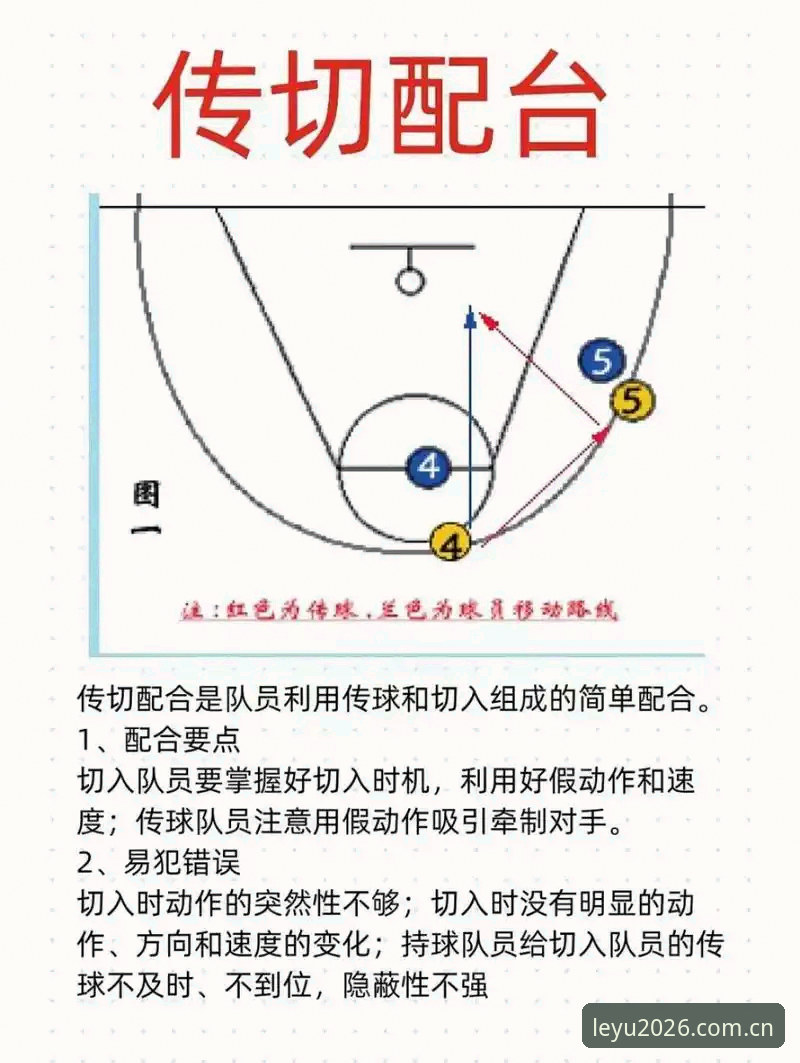 乐鱼体育官网高效观赛实用指南——体育爱好者的必备技巧